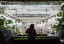 Six Women To Celebrate At CRSSD Festival Spring 2026