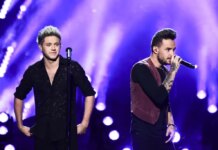 Niall Horan Says He ‘Went Into Hiding’ After Liam Payne’s Death