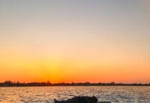 Disclosure Return With ‘The Sun Comes Up Tremendous’ + Stunning Video