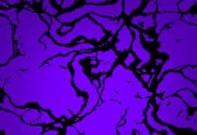 Wave Wave Releases Excellent EP, Feel The Pressure