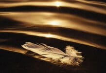 Said The Sky Unveils Deluxe Album, Icarus & I