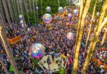 Electric Forest Reveals Exciting 2026 Additions