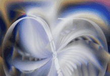 Daskal Makes Life and Death Debut with ‘OD’ Album