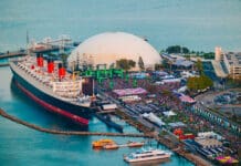 Day Trip Festival 2026 Announces Full Lineup, And It Feels Like a Perfect Summer Weekend