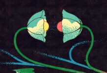 Lane 8 Announces New Artist Album, Cross Pollination II