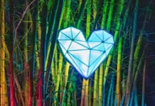 Music Festival in Costa Rica: Bliss Burn 2026 in Review