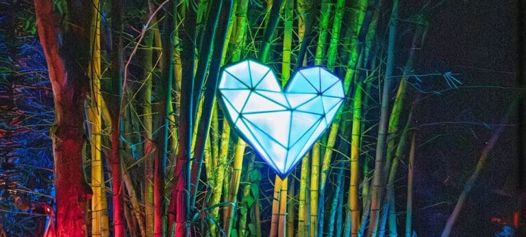Music Festival in Costa Rica: Bliss Burn 2026 in Review
