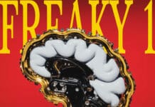 Vintage Culture, Max Styler & Ali Love: ‘Freaky 1’