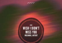 Mozambo & Antdot Rework Angie Stone Classic ‘Wish I Didn’t Miss You’