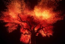 Grammy-Nominated Artist ILLENIUM Joins Forces with David Guetta and Dustin Lynch on New Single ‘Die Living’