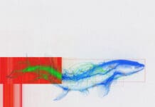 Funk Tribu x Linds Drop ‘Shock’