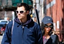 Harry Styles & Zoe Kravitz Engaged: Reports