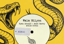 Ryan Arnold, Acid Harry & Derin Atila Unite for ‘Wala Milyon’