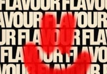 Alok and Still Val Bring Out Groovy Bass in ‘Flavour’