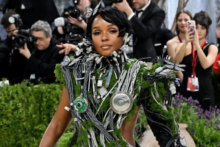 Janelle Monáe Meta Gala 2026 Look Is a Stunning Christian Siriano Gown