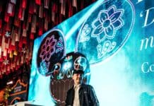 deadmau5 Rescues Another Cat for Adopt a Cat Month