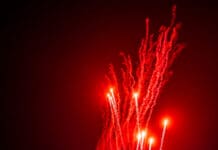 Lightning in a Bottle 2026 – Part 3: Gold in the Cracks