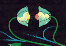 Lane 8 And Friends Share Long-Awaited Cross Pollination II