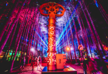Newborn Baby Found Dead in Porta-Potty on Last Day of Electric Forest