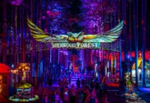 7 Artists We Can’t Wait to See at Electric Forest 2026