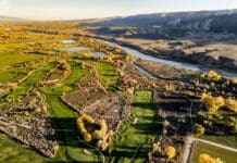 Kygo’s Palm Tree Takes Over Mountain View Golf Course