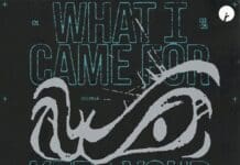 Devault Brings Out Euphoria in ‘What I Came For’