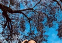 Auswan’s “Something To Live For” makes a thoughtful case for independent R&B discovery