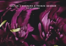 Sultan + Shepard Officially Remix Prinze George’s ‘Centuries’