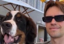 Loud Luxury’s Andrew Fedyk Calls for Investigation After Dog Dies in Training Facility’s Care