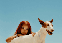 TSHA Teams Up With Pollena on New Single ‘Tell Me’