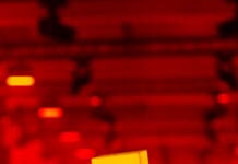 ADE Cuts Ties with Event Over Shlømo Booking