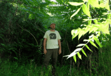 Koen Holtkamp writes curiosity into instrumental music with “Northern Flicker”