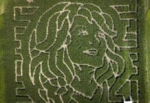 Dolly Parton Honored With Corn Mazes to Benefit Imagination Library