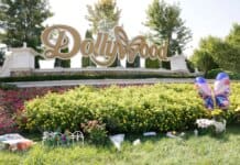 Dollywood to Honor Dolly Parton With New Experiences & Installations