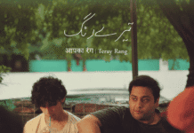 Shamikh blends Urdu and traditional qawwali into a moving musical journey on “Teray Rang”