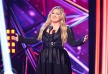 Kelly Clarkson Briefly Had Bird-Themed Ornaments in Holiday Collection