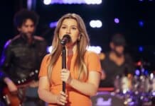Kelly Clarkson Bird Dispute Put Art of Play ‘In Danger,’ Owner Says