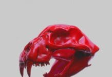 Funk Tribu Drops New Single ‘Voodoo’ on His Label TRIBE